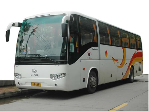 53座金龍大巴